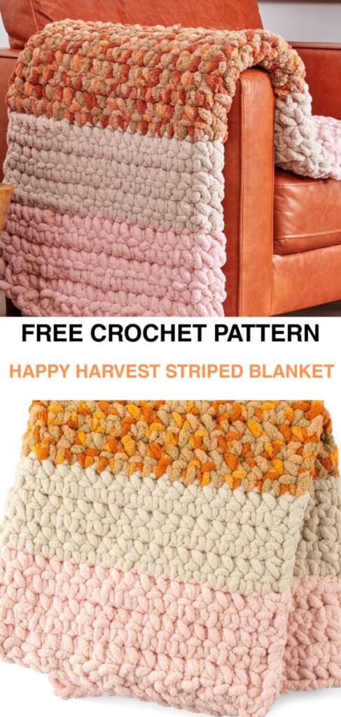 Free Crochet Blanket Pattern Pinterest 