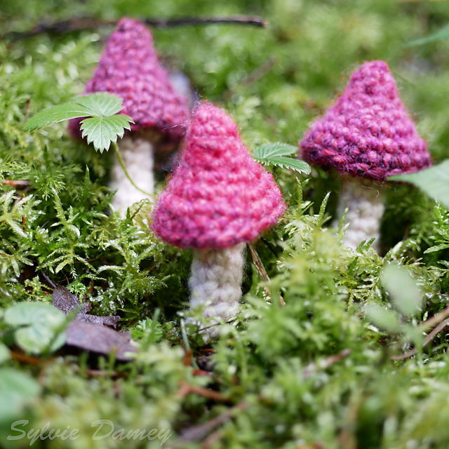 Free Crochet Mushroom Pattern 