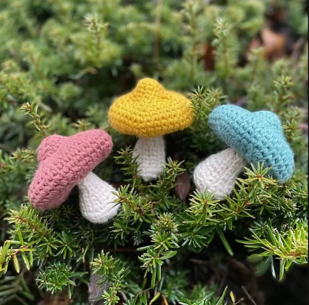 Free Crochet Mushroom Pattern 
