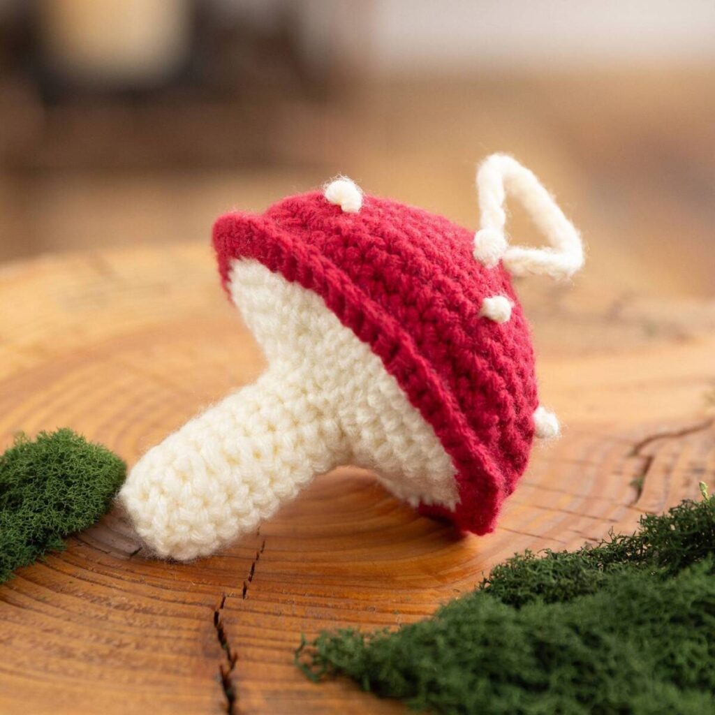 Free Crochet Mushroom Pattern Pinterest 