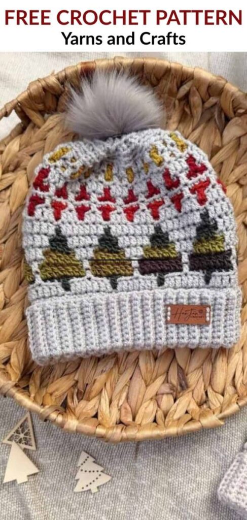 Free Crochet Hat Patterns for Adults Pin