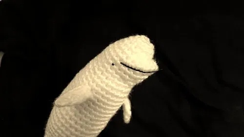 Free Crochet Beluga Patterns