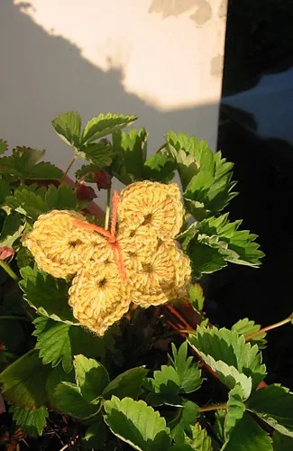 Free Crochet Butterfly Patterns