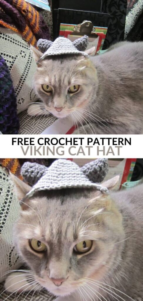 Free Crochet Cat Hat Patterns Pinterest