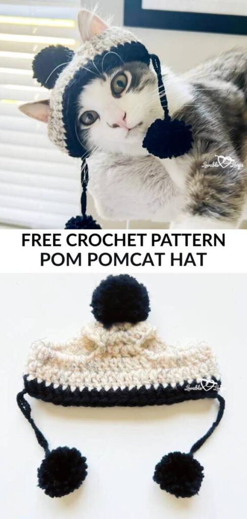 Free Crochet Cat Hat Patterns Pinterest