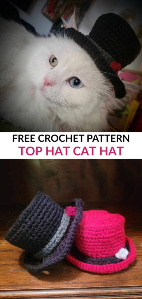 Free Crochet Cat Hat Patterns Pinterest