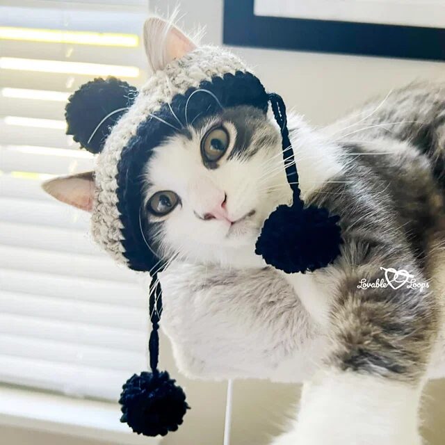 Free Crochet Cat Hat Patterns Pinterest