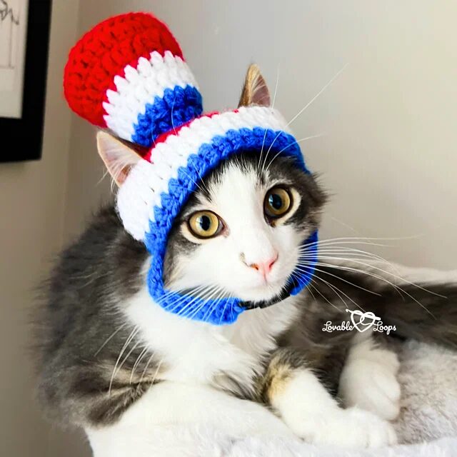 Free Crochet Cat Hat Patterns Pinterest