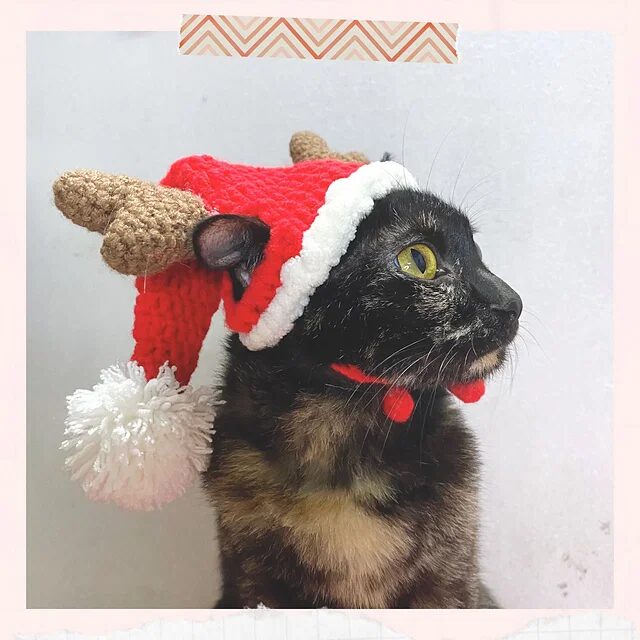 Free Crochet Cat Hat Patterns