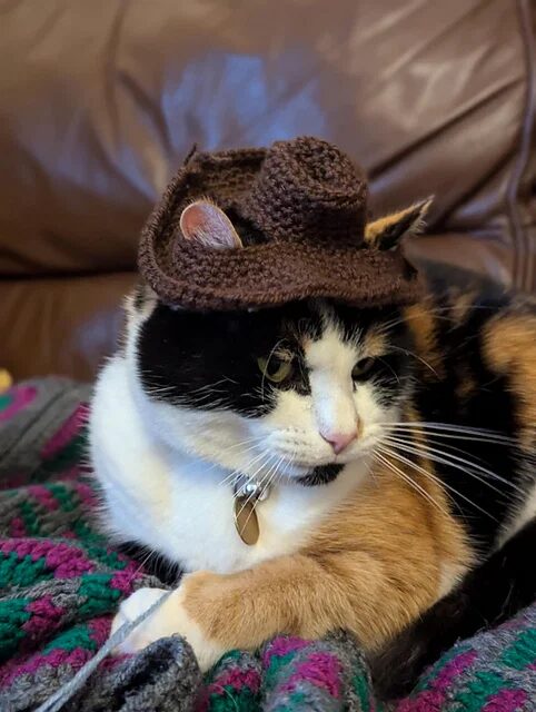 Free Crochet Cat Hat Patterns Pinterest
