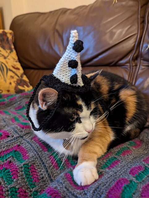 Free Crochet Cat Hat Patterns