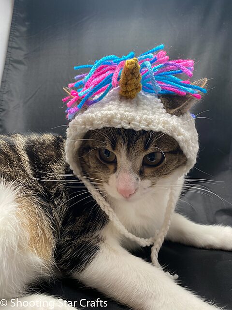 Free Crochet Cat Hat Patterns