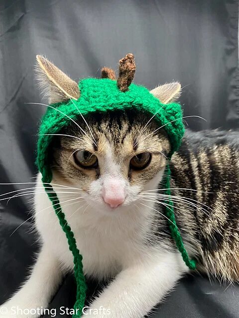 Free Crochet Cat Hat Patterns