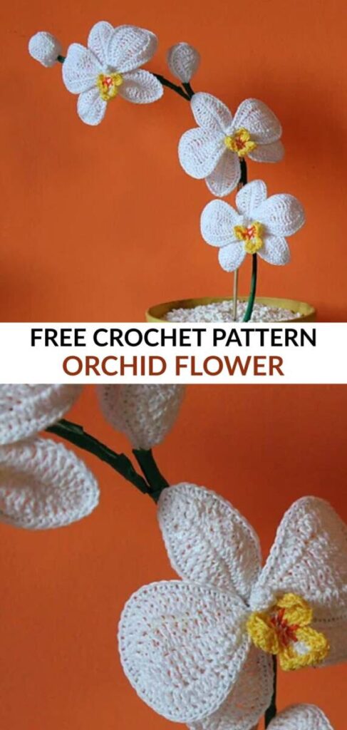 Free Crochet Flower Patterns for Room Decor Pinterest