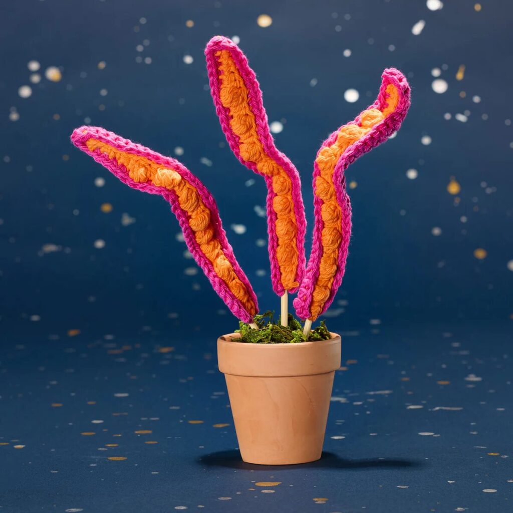 Free Crochet Plant Patterns Pinterest