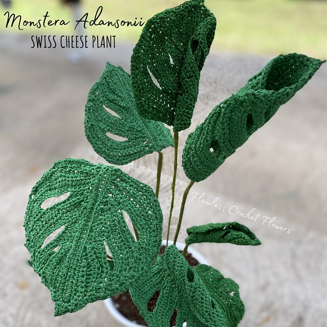 Free Crochet Plant Patterns Pinterest