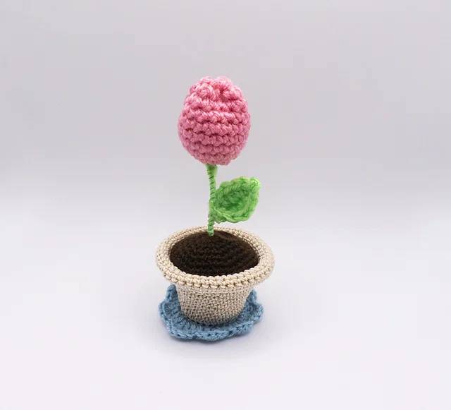 Free Crochet Plant Patterns Pinterest