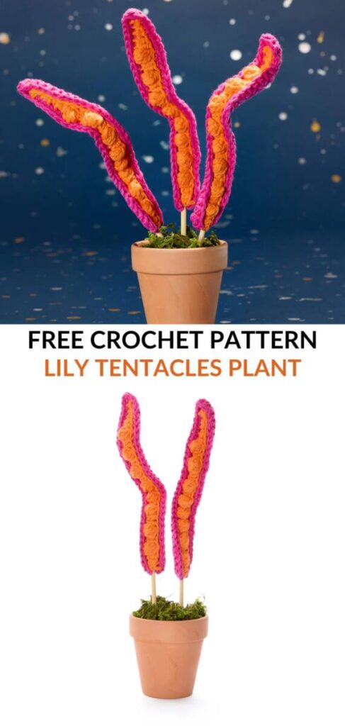 Free Crochet Plant Patterns Pinterest