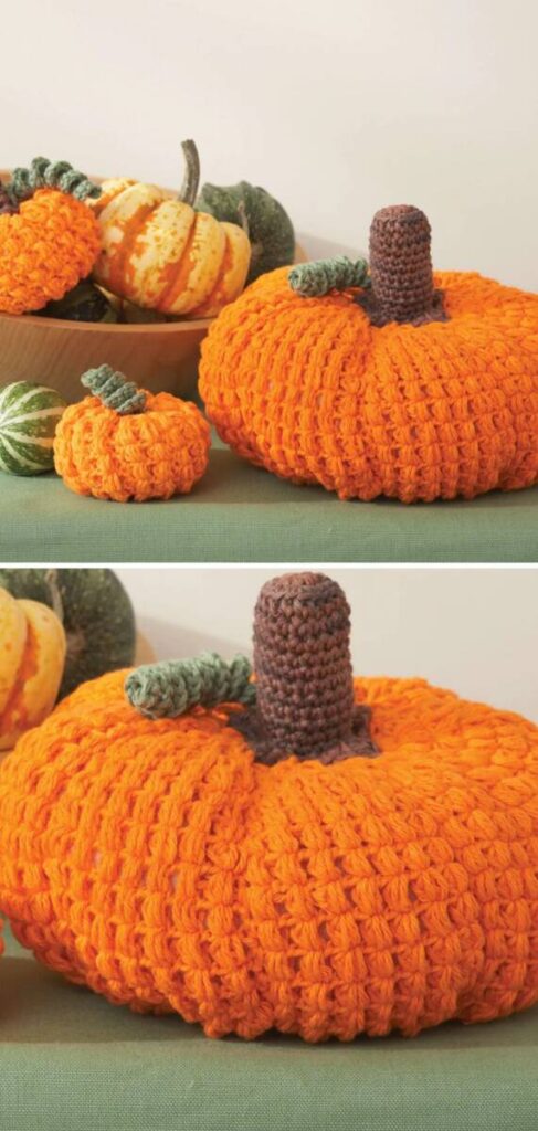 Free Crochet Fall Patterns Pinterest