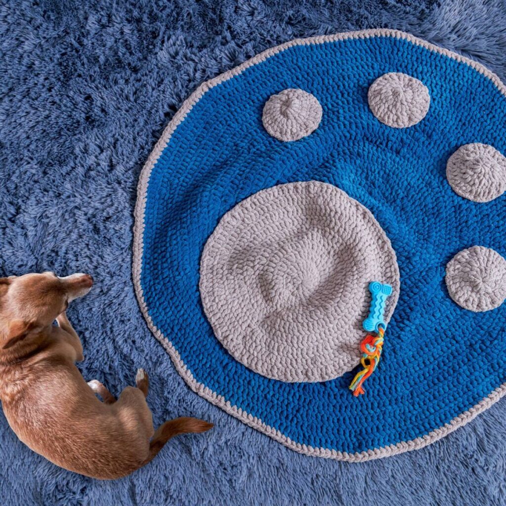 Free Crochet Rug Patterns for Home Decor