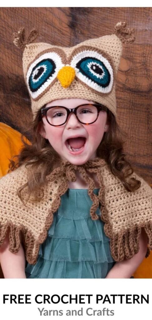 Free Crochet Owl Patterns Pinterest
