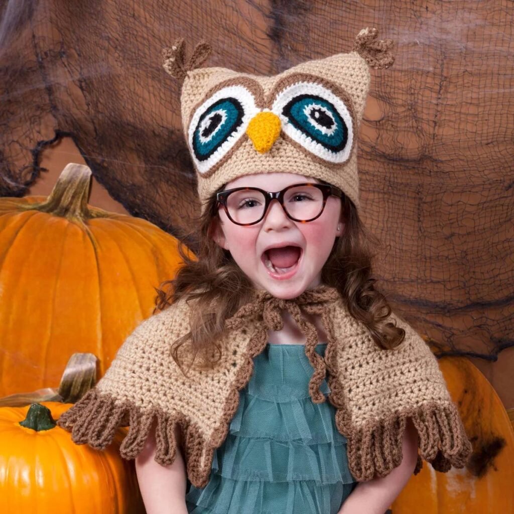 Free Crochet Owl Patterns Pinterest
