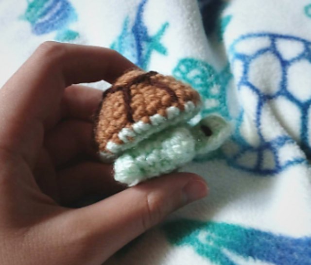 Free no-sew amigurumi crochet turtle patterns